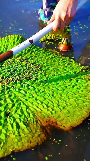 Exploring Chinese Handmade Crafts and Traditional Culture