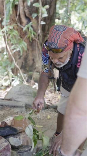 Daintree River Drift and Mossman Gorge cultural experience 🌿💧 Float along a private section of the Mossman River on a guided river drift adventure in the heart of the Daintree Rainforest with @backcountryblissadventures. This full day experience blends nature, culture and connection in Tropical North Queensland. Take part in a traditional Kuku Yalanji smoking ceremony at Mossman Gorge Cultural Centre @mossmangorge, explore Daintree National Park on a guided rainforest walk and enjoy lunch, sna