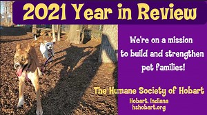 59 reactions · 11 shares | Thank you to our sponsors, our donors, our...