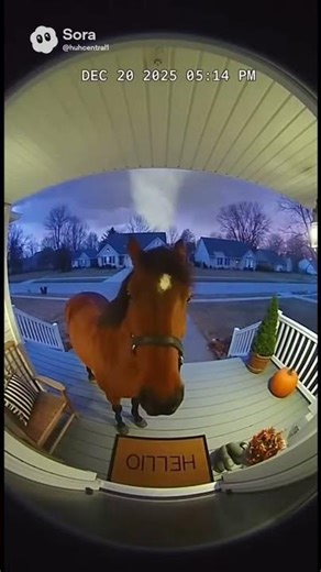 Crazy horse explosion