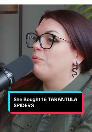 Owning 16 Tarantulas: A Unique Pet Journey
