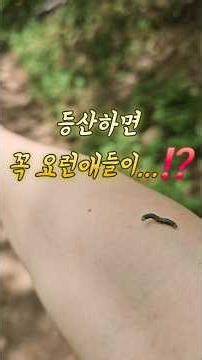 날마다 구봉산 꼭대기까지 달려봐⁉️ #동네한바퀴 #걷기전문가 #등산코스 #산속 #구봉산 #봉수대