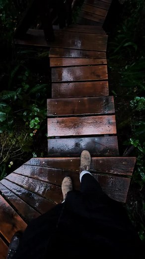 1.9K views · 50K reactions | ️  | Julia Thompson | Facebook