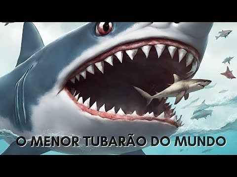 O Menor TUBARÃO do mundo