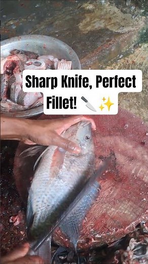 Amazing Tilapia Fish Cutting Skills | Fresh Fish Fillet Process | Seafood Cutting Video 🐟🔥
