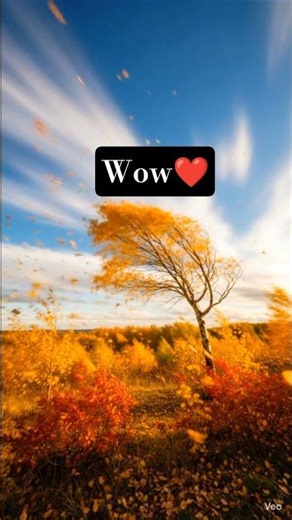 Autumn Wind Magic 🍂 | Peaceful Windy Nature view#autumn #fallvibes #nature #windy#peaceful #relaxing