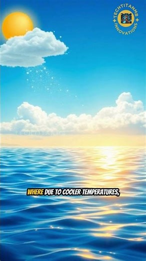 The Sun Controls Rain?! ☀️ The Hidden Science of the Water Cycle #shorts #viral