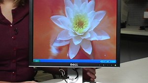 Dell UltraSharp 1707FP