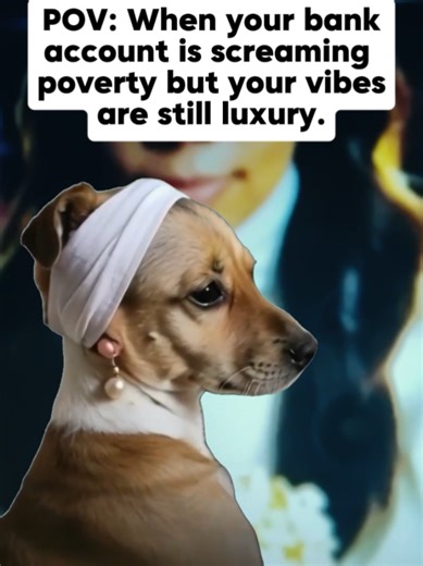 #Meme when your bank account##MemeCut #CapCut | meme