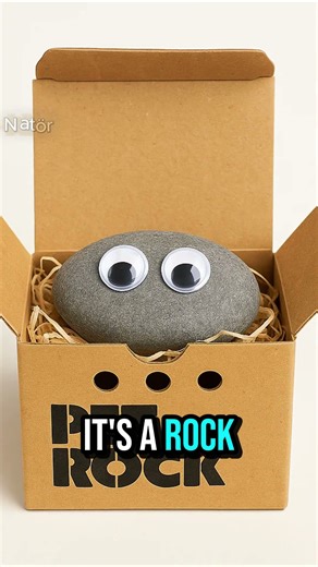 He Made Millions Selling Rocks! (True Story)💰