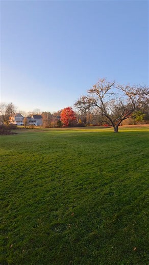 Kenneth Lawrence on Reels