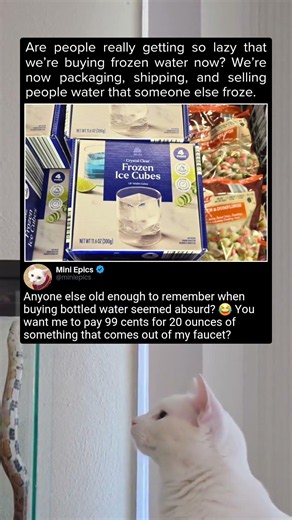 Grocery Stores Are Selling Packaged Ice Cubes