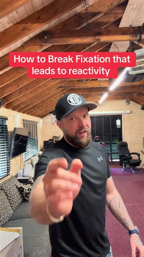 Break Your Dog's Fixation: Reduce Reactivity Now