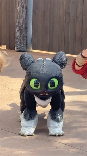 David Vaughn on Instagram: "See Toothless’s baby dragons at Epic Universe! So far, I’ve spotted Ruffrunner and Dart in mini shows inside the How to Train Your Dragon: Isle of Berk area. Hosted by Universal Orlando. #EpicUniverse #HowToTrainYourDragon #Toothless #Animatronic"