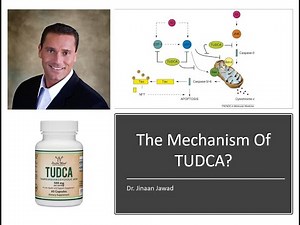 How Does TUDCA Work?