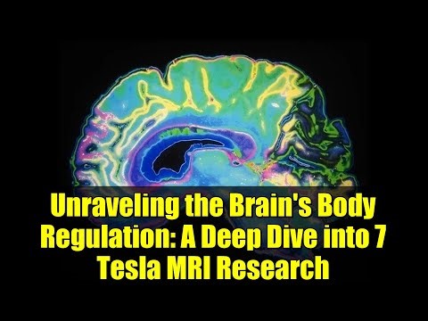 Unraveling the Brain's Body Regulation: A Deep Dive into 7 Tesla MRI Research