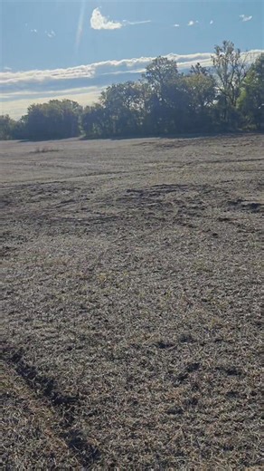 It really makes us mad when people don't respect property boundaries. Just know that deer cameras have caught more than one trespasser the last two years. | A Kansas Farm Mom