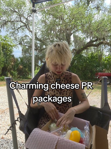 Charming Cheese Squishy PR Package Unboxing & Review