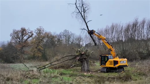 Operating a massive 21 tonne excavator tree saw