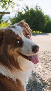 54K views · 7.1K reactions | Nonostante i vari problemi con i quali...