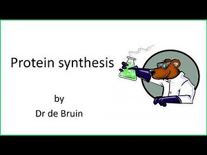 2.1.3 (Chapter 4) - Protein Synthesis - OCR A-level Biology A