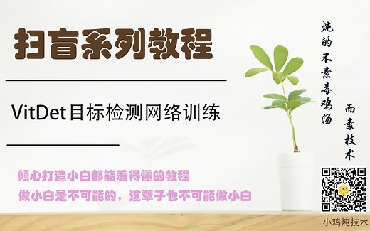 【扫盲】VitDet目标检测网络训练