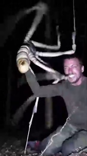 giant arachnid captured