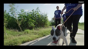 94 reactions · 69 shares |  Join the P.A.W.S. Team at FWACC! ...