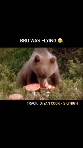 962K views · 222 reactions | We have liftoff  Track ID: Yan Cook - Skyhigh #dubtechno #technomusic #technolover | Techno Snobs | Facebook