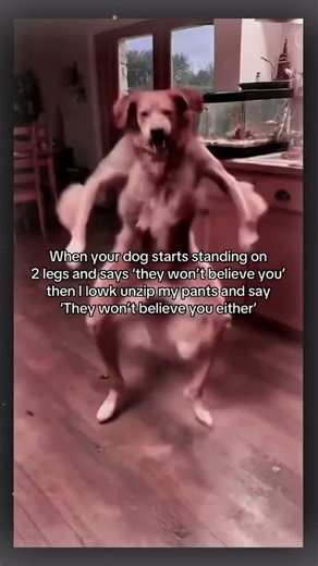 Memes | 😵‍💫 Interesting fact: Staring into nothing for too long means your brain is rebooting Windows XP. No thoughts. Just static. Do not unplug. | Instagram