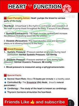 ❤️ The Heart & Its Function | Blood Circulation | Science by Galib Sir #scienceshorts #biology