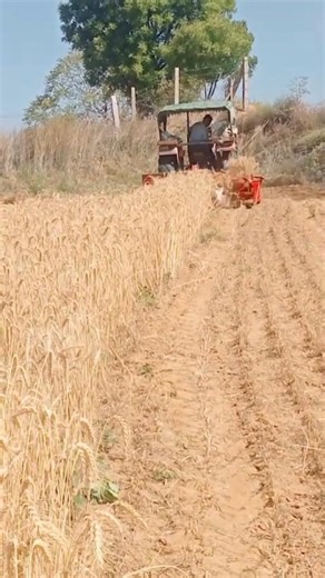 farming new style 😜 #comedyshorts #subscribe #farming #viral