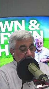 The 4 P's of Fall Tree Planting: Plan Your Texas Garden for Maximum Savings & Beauty!