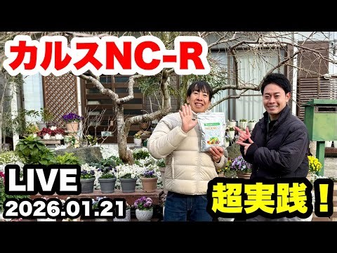 ◆【カルスNC-R】隼斗さんに直撃！カルスNC-Rの使い方徹底深掘り🪴