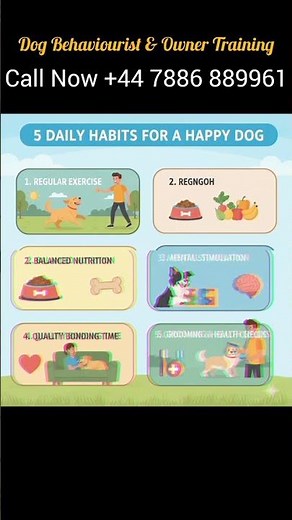 5 Habits For Dog Behaviourist✔️Dog Training Aggressive Behavior 2025