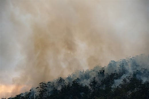 New Pepperwood Blaze Ignites On Private Land In Mendocino County
