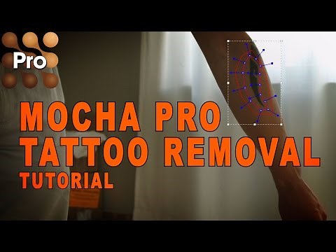 Mocha Pro Tutorial - Tattoo Removal