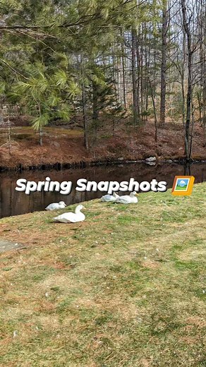 13 reactions | Red Barn Meats, INC on Reels | Facebook