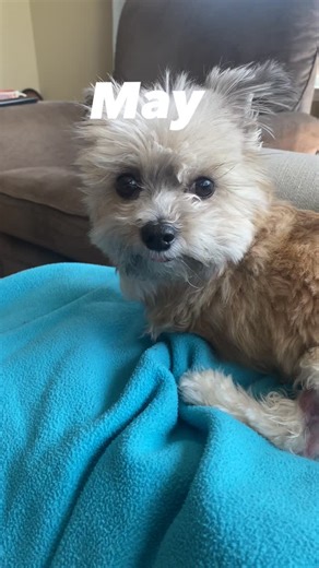 Laura Moon on Instagram: "These are the twelve months of the year #2025 #happynewyear"