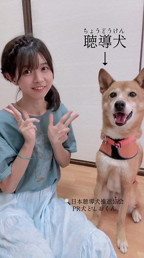 聴導犬のクラウドファンディング｜日本聴導犬推進協会｜しみけん犬