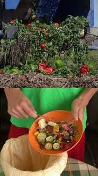 What to do to prevent soil pollution