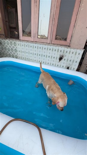 Ghar pe pool party hua 🎉🥂 #trending #minivlog #pool #ytshorts