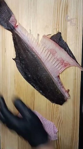 ひらめの捌き方です！ヒラメは五枚おろしにします！身が締まっているので包丁の先を骨にあてて滑らせるようにさばきます！この時に切ると思わないことがポイントです！切ろうとしてしまうと包丁が進みすぎてしまいま
