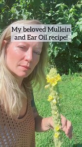 61K views · 2.7K reactions | Want to know ALOT about Mullein and get an ear oil recipe? Give me 3 minutes ⏰#highgardentea #herbalist #herbalife #herbalism #mullein #HerbalRecipes | Highgarden | Facebook