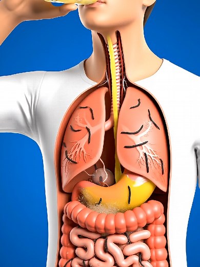 Effects of Drinking Lemonade Regularly on Your Body