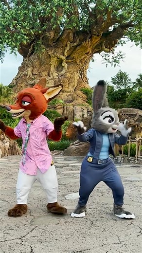 On 7th November, Zootopia: Better Zoogether! makes its debut at Disney's Animal Kingdom 🐰🦊 Who's excited? 🌳🍃 | Walt Disney World