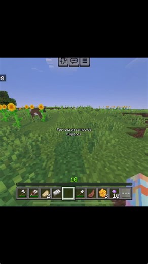 Exploring Minecraft Tulip Fields and Paper Flowers