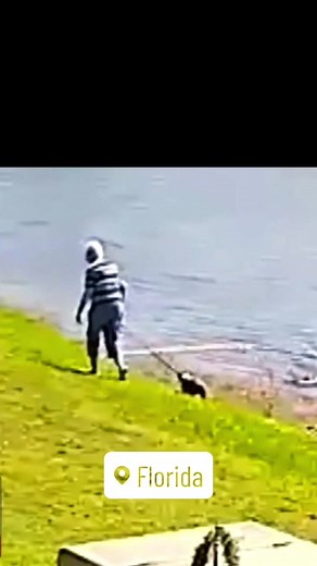 Frequency Canine on TikTok