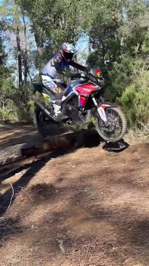 EPIK tree jump technique from kmirabet38 on the Honda Tranalp