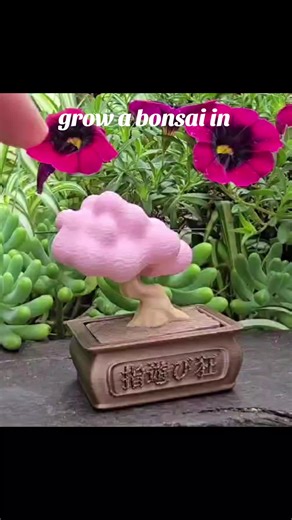 Bonsai Clicker Design Launch